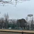 実際訪問したユーザーが直接撮影して投稿したこてはし台公園こてはし台公園の写真