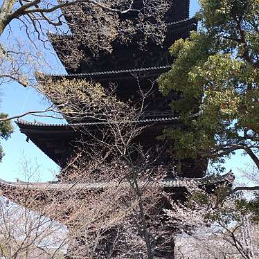 実際訪問したユーザーが直接撮影して投稿した九条町文化財五重塔の写真