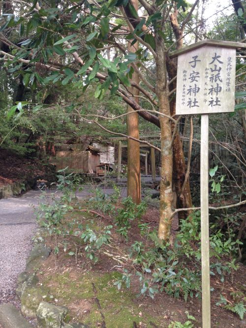 実際訪問したユーザーが直接撮影して投稿した宇治館町神社子安神社の写真