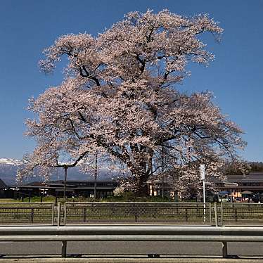 tabimaruさんが投稿した下川崎道の駅のお店道の駅 安達 智恵子の里 上り線/ミチノエキ アダチ チエコノサト ノボリセンの写真