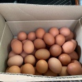 実際訪問したユーザーが直接撮影して投稿した中伊西町養鶏場有限会社テツマEMタマゴの写真