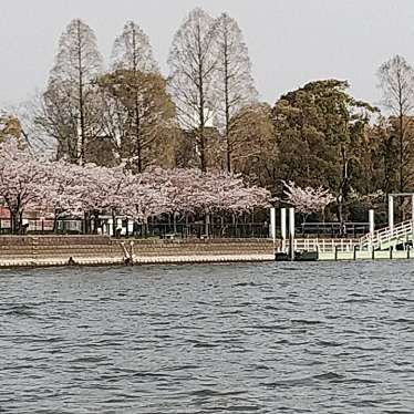 実際訪問したユーザーが直接撮影して投稿した河川大川の写真