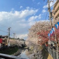 実際訪問したユーザーが直接撮影して投稿した弘明寺町散策路大岡川プロムナードの写真