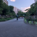 実際訪問したユーザーが直接撮影して投稿した長者町公園大通り公園の写真