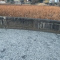 実際訪問したユーザーが直接撮影して投稿した上野公園橋天龍橋の写真