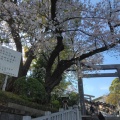 実際訪問したユーザーが直接撮影して投稿した宮崎町神社伊勢山皇大神宮の写真