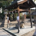 実際訪問したユーザーが直接撮影して投稿した今津上野町神社上野神社の写真