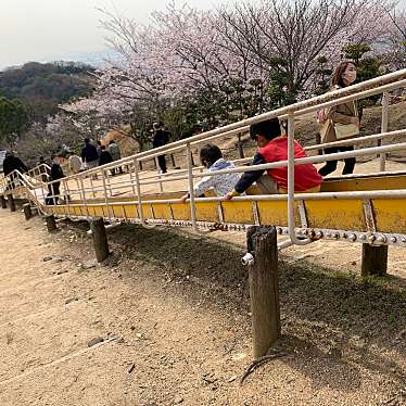 実際訪問したユーザーが直接撮影して投稿した福田町福田公園種松山公園西園地の写真