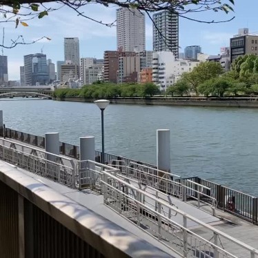 実際訪問したユーザーが直接撮影して投稿した河川大川の写真