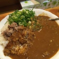 実際訪問したユーザーが直接撮影して投稿した西中島カレービッラルさんのモジャカレーの写真