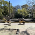 実際訪問したユーザーが直接撮影して投稿した神宮公園くさなぎ広場の写真