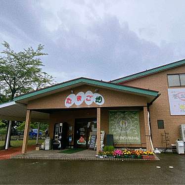 美味しいオムライスに出会いたいさんが投稿した刈羽食料品店のお店鎌田養鶏株式会社 たまご畑 刈羽店/カマタヨウケイカブシキガイシャ タマゴバタケ カリワテンの写真