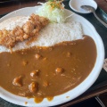 チキン南蛮カレー - 実際訪問したユーザーが直接撮影して投稿した大島町丼もの武蔵野 丼ぶり道場の写真のメニュー情報