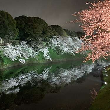 実際訪問したユーザーが直接撮影して投稿した河川千鳥ケ淵の写真