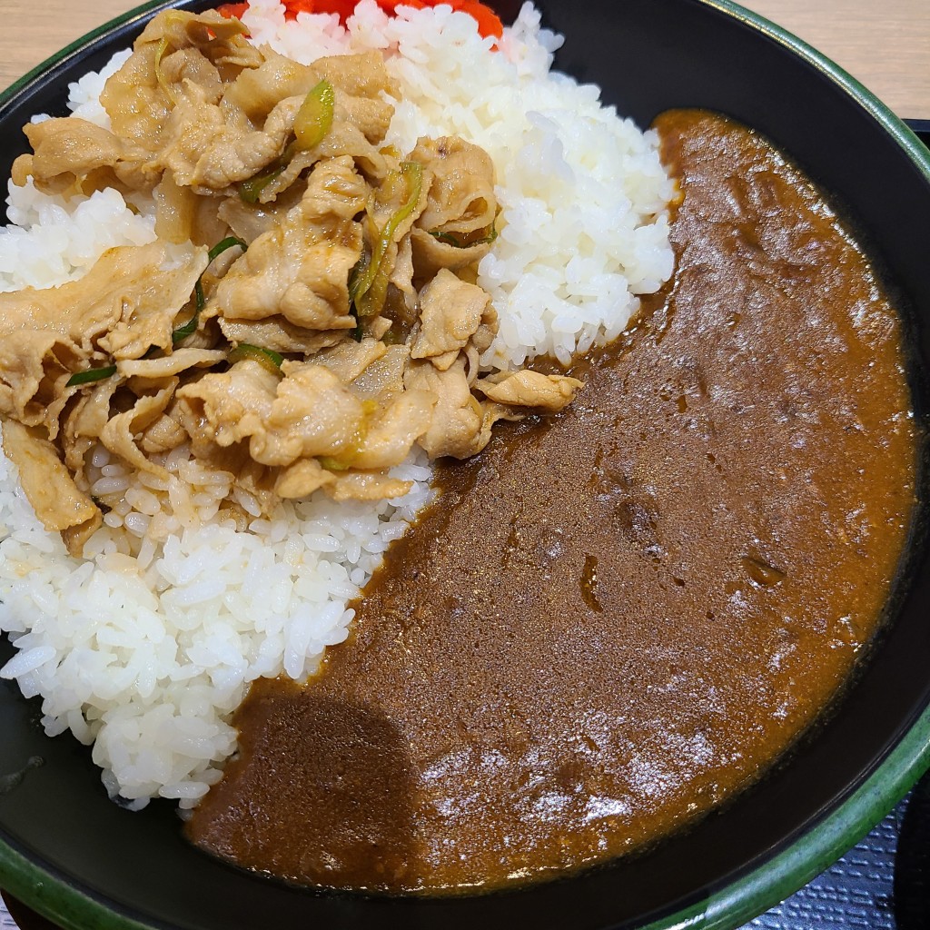 ユーザーが投稿したすた丼カレーの写真 - 実際訪問したユーザーが直接撮影して投稿した丼ものすた丼屋 ららぽーと愛知東郷店の写真