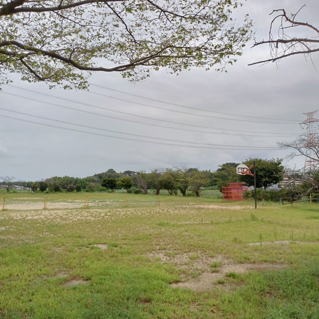 実際訪問したユーザーが直接撮影して投稿した三山木塔ノ島公園鶴沢公園の写真