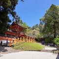 実際訪問したユーザーが直接撮影して投稿した春日野町神社春日大社の写真