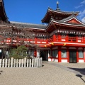 実際訪問したユーザーが直接撮影して投稿した大須寺大須観音 紫雲殿の写真