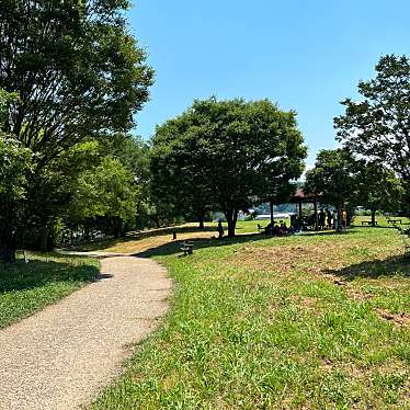 実際訪問したユーザーが直接撮影して投稿した古川町公園芝生広場の写真