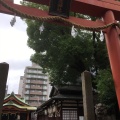 実際訪問したユーザーが直接撮影して投稿した西天満神社堀川戎神社の写真