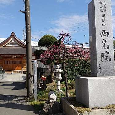 実際訪問したユーザーが直接撮影して投稿した新善町寺西光院の写真