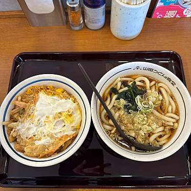 山田うどん食堂 明和町店のundefinedに実際訪問訪問したユーザーunknownさんが新しく投稿した新着口コミの写真