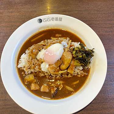 実際訪問したユーザーが直接撮影して投稿した里カレーCoCo壱番屋 鳩ヶ谷里店の写真