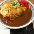 かつカレー丼 - 実際訪問したユーザーが直接撮影して投稿した天神丼もの牛心 天神店の写真のメニュー情報