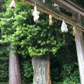 実際訪問したユーザーが直接撮影して投稿した大庭町神社神魂神社の写真