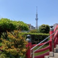 実際訪問したユーザーが直接撮影して投稿した亀戸神社亀戸天神社の写真