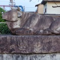 実際訪問したユーザーが直接撮影して投稿した牛山町公園さつき台児童遊園の写真