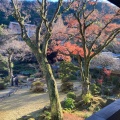 実際訪問したユーザーが直接撮影して投稿した湯本旅館吉池旅館松平寮の写真