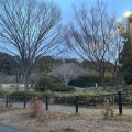 実際訪問したユーザーが直接撮影して投稿した実籾公園実籾本郷公園の写真