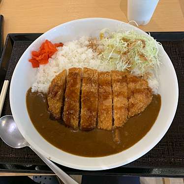 実際訪問したユーザーが直接撮影して投稿した岩淵その他飲食店東名高速富士川SA下り『富士川食堂』の写真