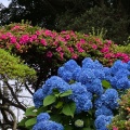 実際訪問したユーザーが直接撮影して投稿した松本町庭園保和苑の写真