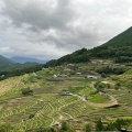 実際訪問したユーザーが直接撮影して投稿した自然名所丸山千枚田の写真