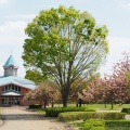 実際訪問したユーザーが直接撮影して投稿した壬生甲公園東雲公園の写真