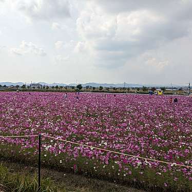 実際訪問したユーザーが直接撮影して投稿した浄谷町ベーカリーサンパティオ小野の写真