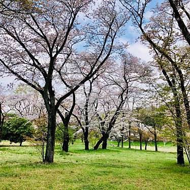 実際訪問したユーザーが直接撮影して投稿した多磨町公園武蔵野公園の写真