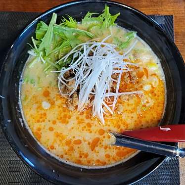 実際訪問したユーザーが直接撮影して投稿した安野町ラーメン専門店麺や 澪の写真