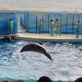 実際訪問したユーザーが直接撮影して投稿した片瀬海岸ギフトショップ / おみやげ新江ノ島水族館 オッターショップの写真