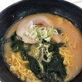 味噌ラーメン - 実際訪問したユーザーが直接撮影して投稿した東茨戸定食屋ガトーキングダムサッポロ 1Fプールサイドレストランの写真のメニュー情報