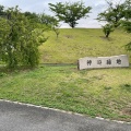 実際訪問したユーザーが直接撮影して投稿した神崎町公園神崎緑地の写真