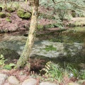 実際訪問したユーザーが直接撮影して投稿した田尻名水 / 湧水百選池山水源の写真