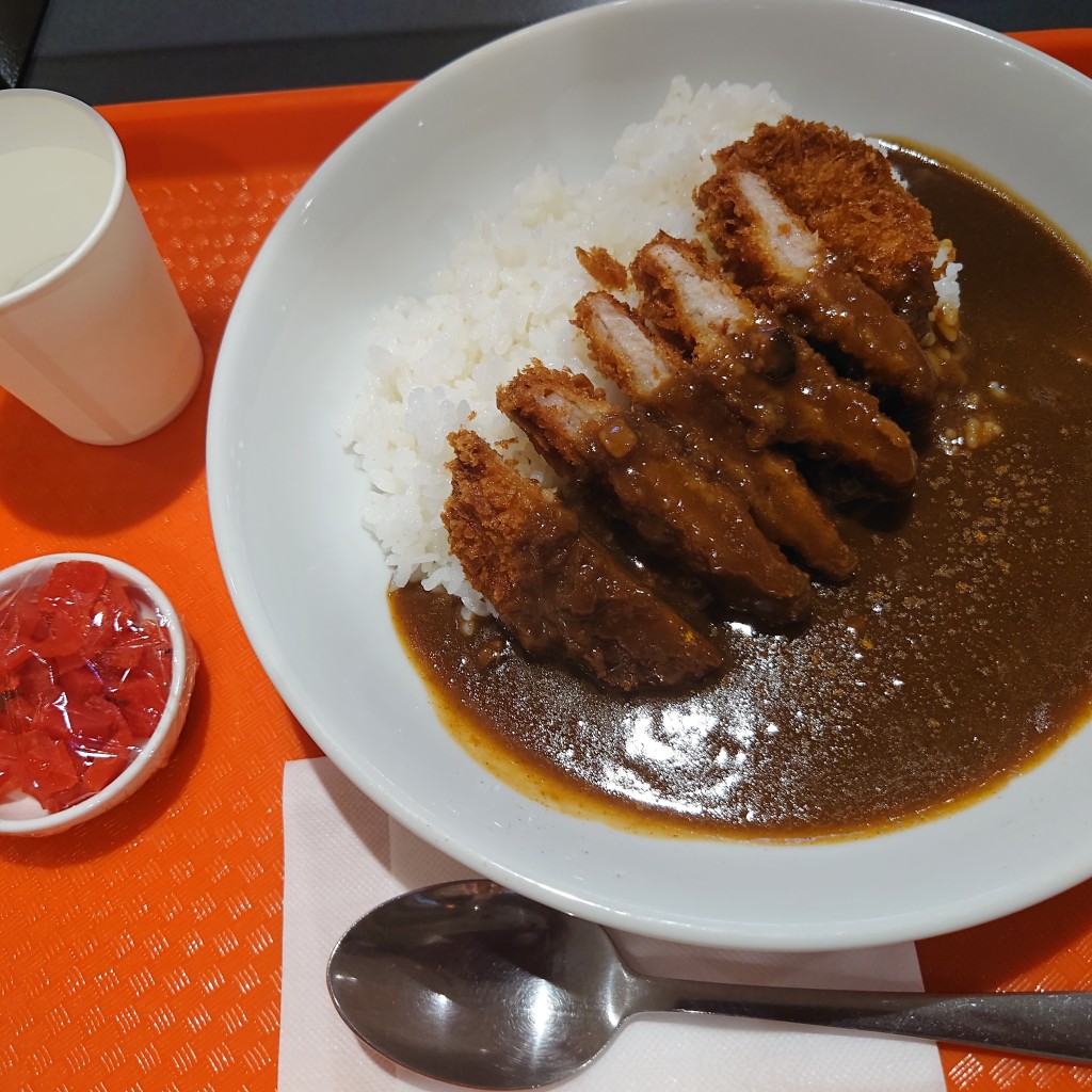 ユーザーが投稿したロースカツカレーの写真 - 実際訪問したユーザーが直接撮影して投稿した西茶屋洋食ことこと屋 イオンモール名古屋茶屋店の写真