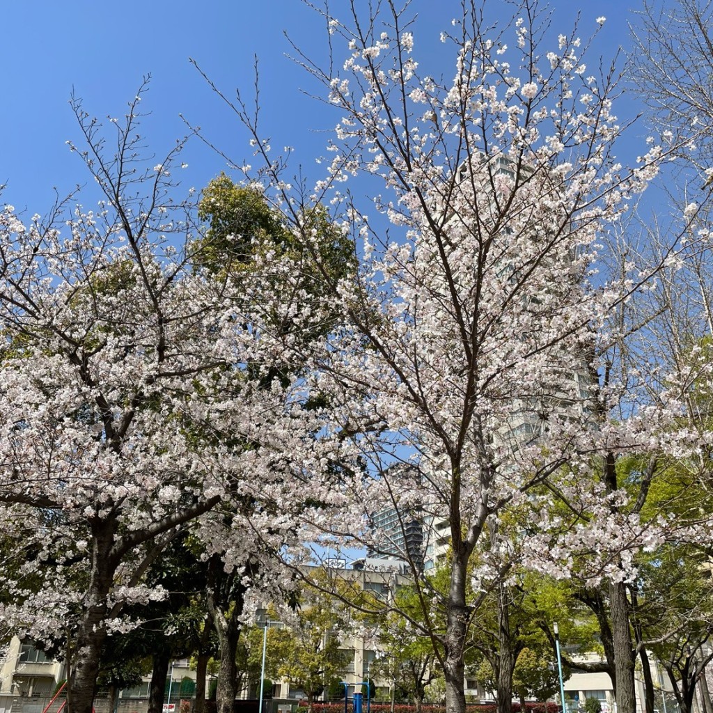 実際訪問したユーザーが直接撮影して投稿した南堀江公園日吉公園の写真