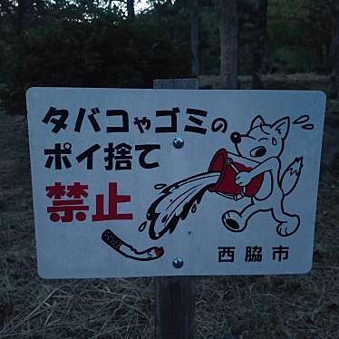 実際訪問したユーザーが直接撮影して投稿した坂本公園西脇公園の写真