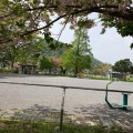 実際訪問したユーザーが直接撮影して投稿した桜ケ丘公園桜ヶ丘公園の写真