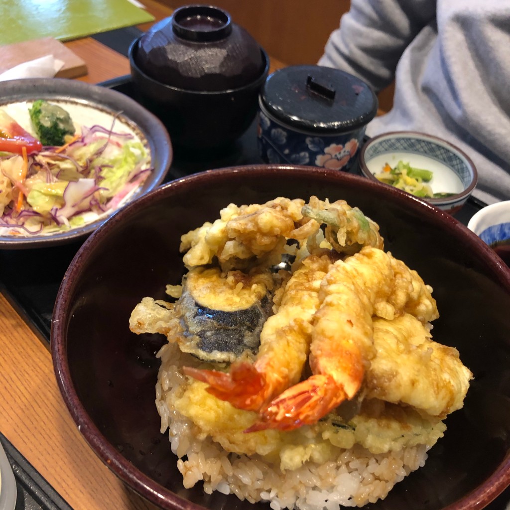 ユーザーが投稿した藍屋天丼膳の写真 - 実際訪問したユーザーが直接撮影して投稿した上河内和食 / 日本料理藍屋 海老名上河内店の写真