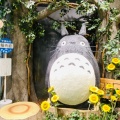 実際訪問したユーザーが直接撮影して投稿した名駅キャラクターショップどんぐり共和国 名古屋タカシマヤ・ゲートタワーモール店の写真